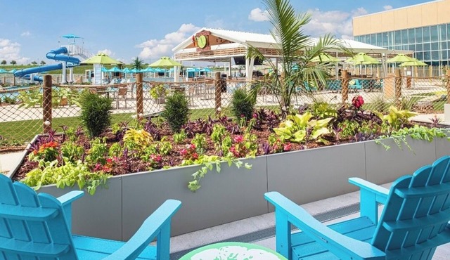 Discover Relaxation in This Tropically-Inspired Room with Pool Near Attractions
