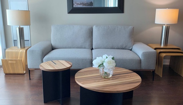 Downtown Toronto. PH Two Bedroom + den on 31st floor huge waterfront views.