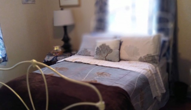 Exceptionally Private fully Fenced Retro Navy Point Cottage-Fully Furnished in Pensacola