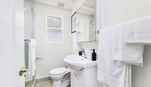 Fully renovated house in Toronto