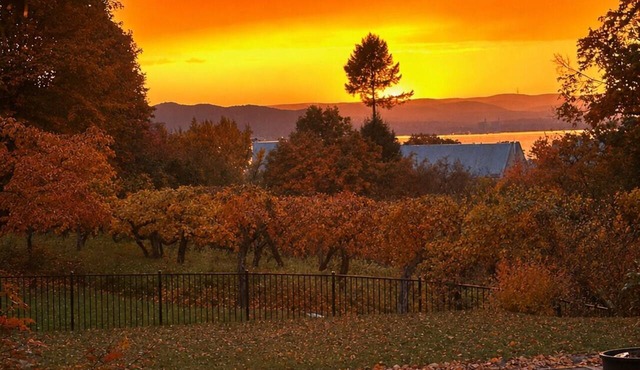 Hudson Valley Pool Retreat · 50min to NYC · 3 Acre