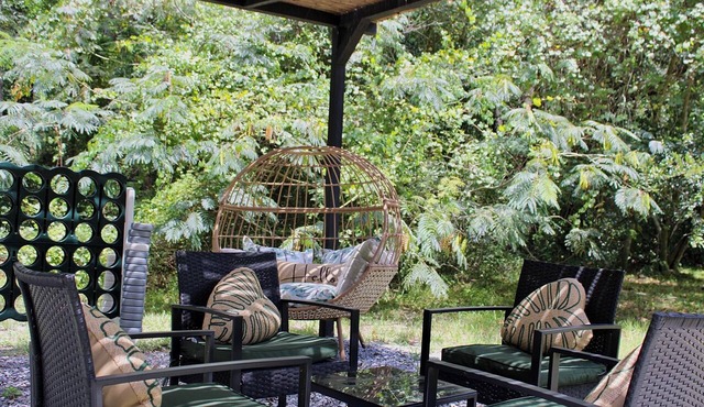 Huge Yard, BBQ, Fire-Pit, Devils Den & Rainbow Springs, Sleeps 5, Near HITS