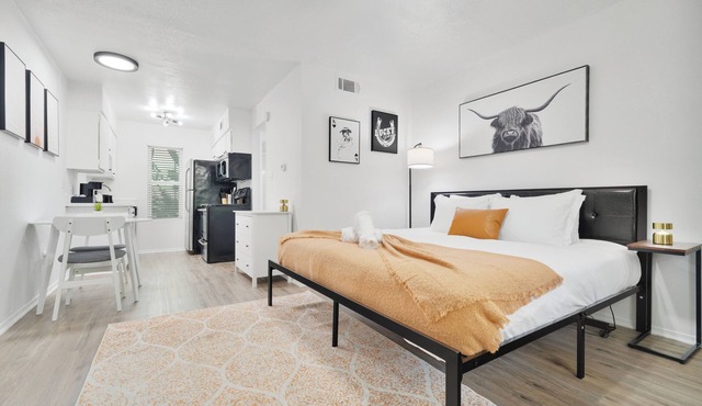Hyde Park Gem–Modern Studio Near UT & Downtown