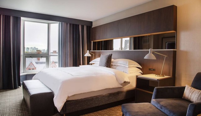 Indulge in Luxury: Heated Indoor Pool, Dining Experiences & Pet-Friendly
