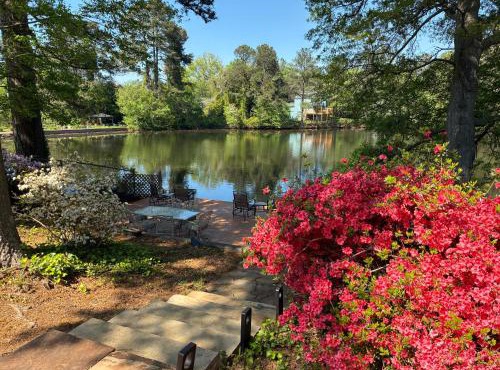 Lakefront Serenity