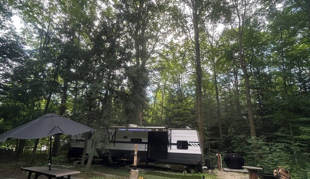 Luxury Forest RV Retreat | Pond, Fire Pit, Nature & Peace