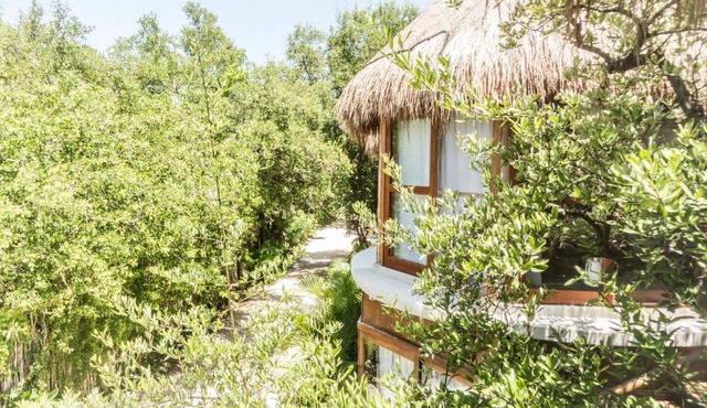 Mamasan Treehouses & Cabins