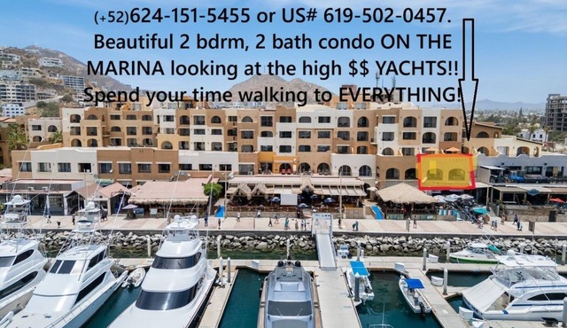 Marina-front condo! Downtown Cabo! Walk Everywhere! The coolest 1 bdrm condo!