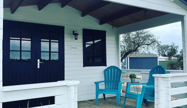 Peace Cabin @ 13 Acres - Yoga/Hike/Meditate