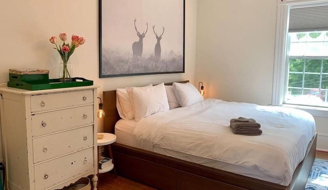 Pet-Friendly Space, King bed, Office