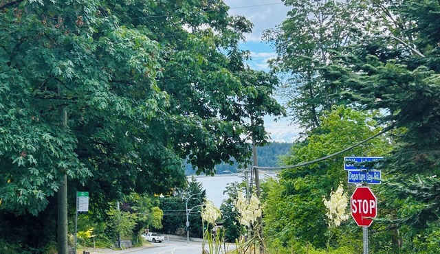 Private room with Sauna,Fireplace and Free parking near Departure Bay beach