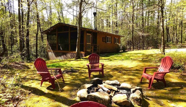 Quiet cabin in the woods, only 10 min from downtown Helen