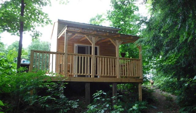 Rustic Bunkie with Lake Front View! in Echo Bay