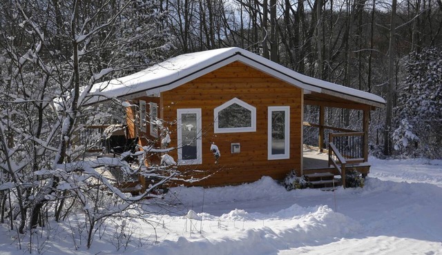 Serene Tiny Cabin Perfect for Relaxing Couples Getaway in Central Huron, Ontario