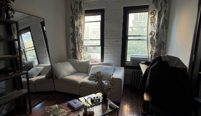 Spacious 1-bedroom apartment with AC in Williamsburg