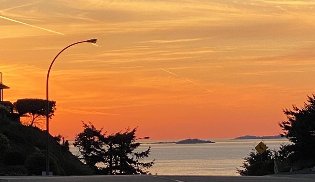 Stunning oceanic views right outside, 4-minutes to WaterfrontPark, Cozy Comfort!