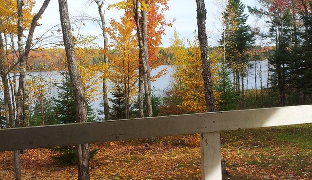 Swim in the lake, bike on the trails, golf or visit the ocean beaches nearby.