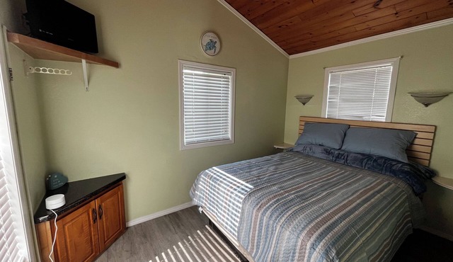 The Sleepy Turtle, with Pool Access!