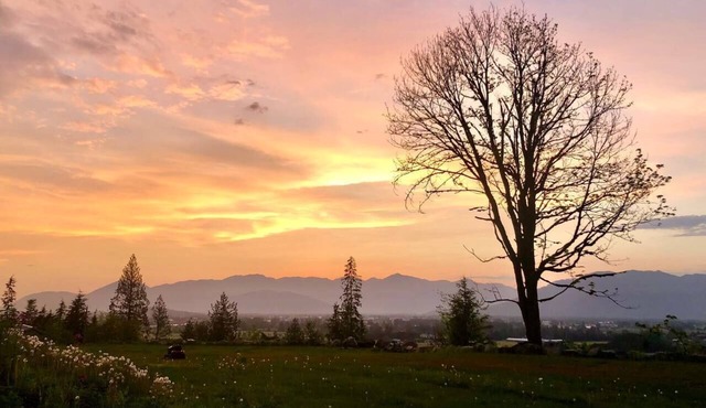 THE VIEW BNB Forest Retreat with Scenic Farm Views | 10 Min to Chilliwack