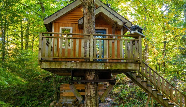 Treehouse, forest and lake, near reception | Lodging #10