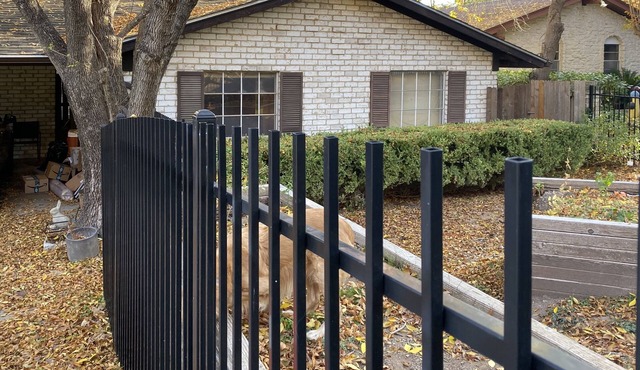 Walk to Zilker Park, Barton Springs, restaurants. Active ride share area.