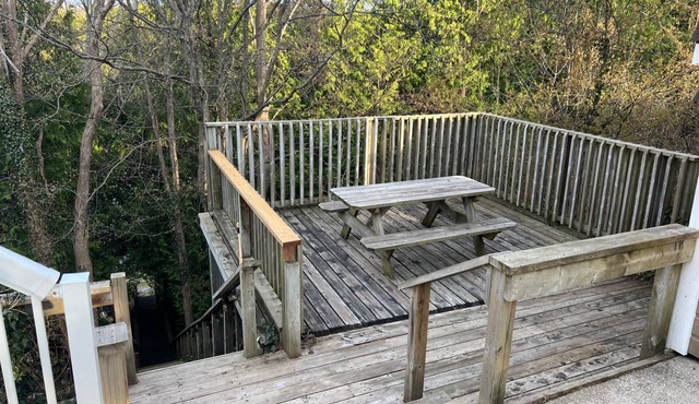 Waterfront Forest Escape in Southampton w/Stunning Nature Views!