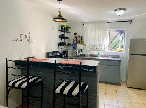 Zebra Studio in Tijuana