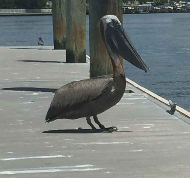 Photo of Others in South Downtown