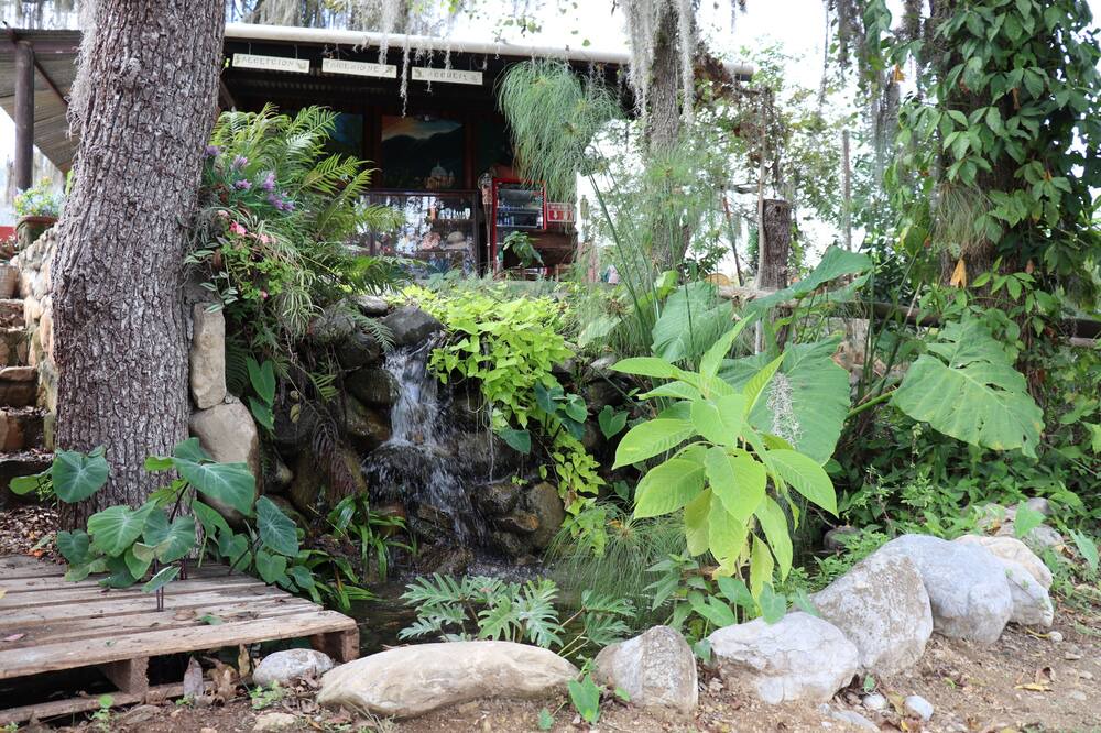 Photo of Outdoor in Nuevo Leon