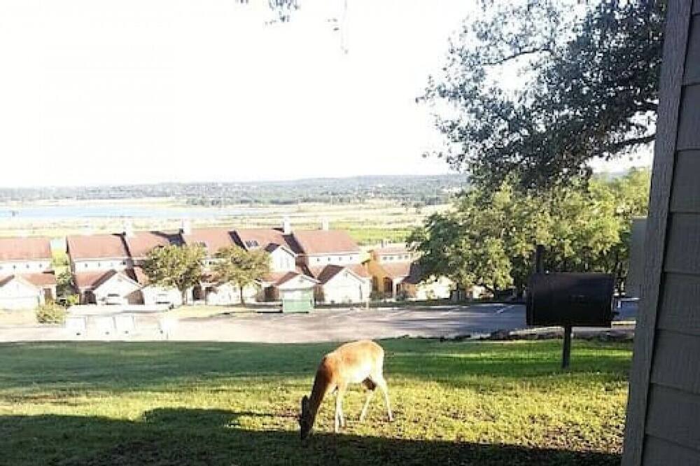 Photo of Others in Canyon Lake