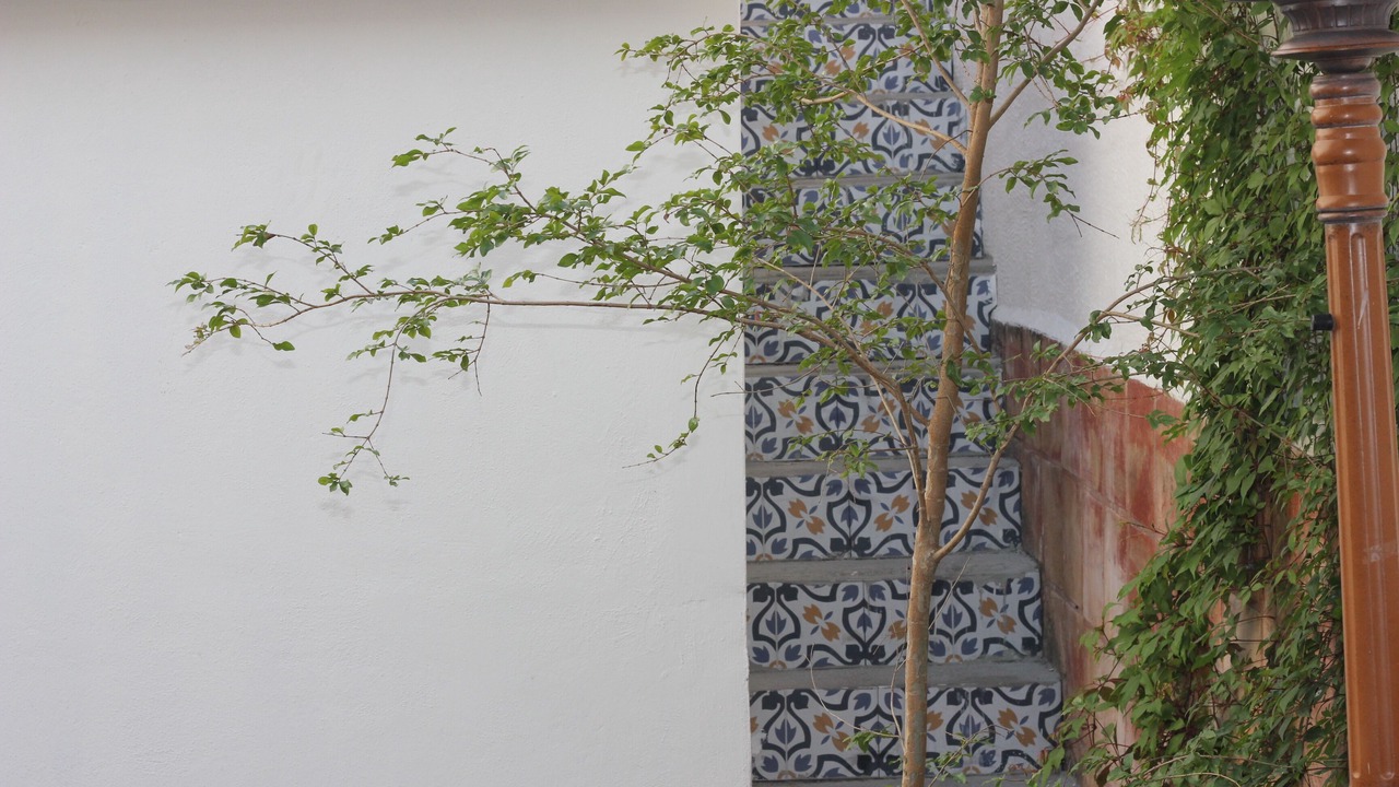 Photo of Outdoor in Santa Teresita