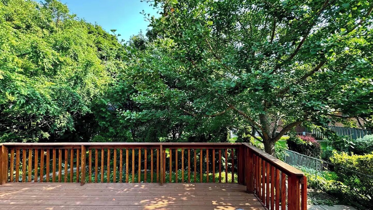 Photo of Outdoor in Richmond Hill