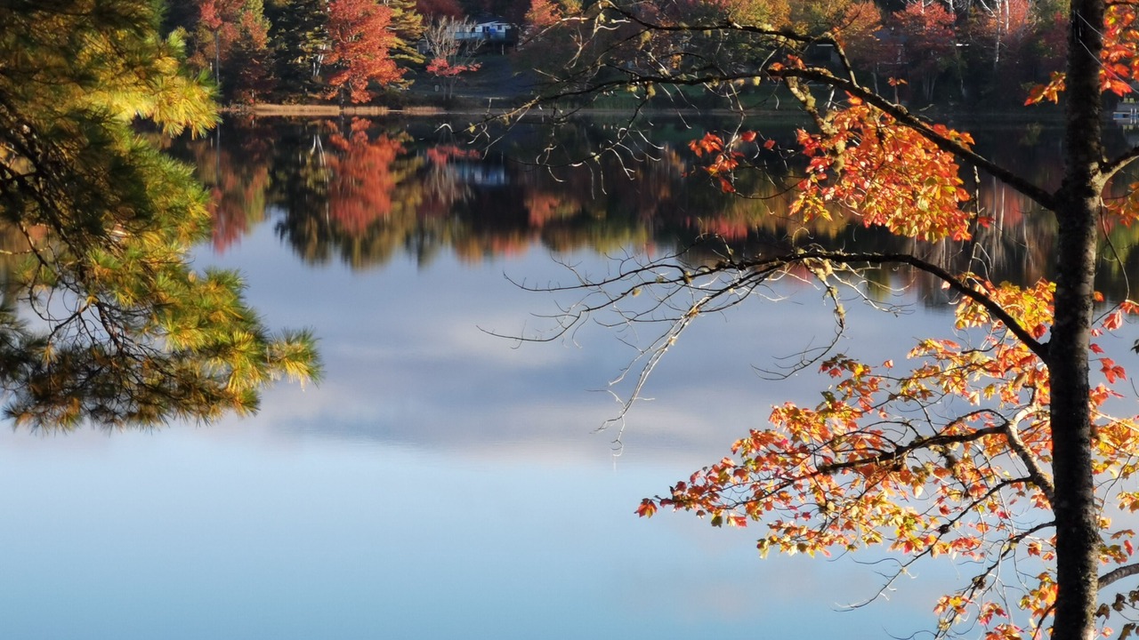 Photo of Outdoor in Beaver Bank