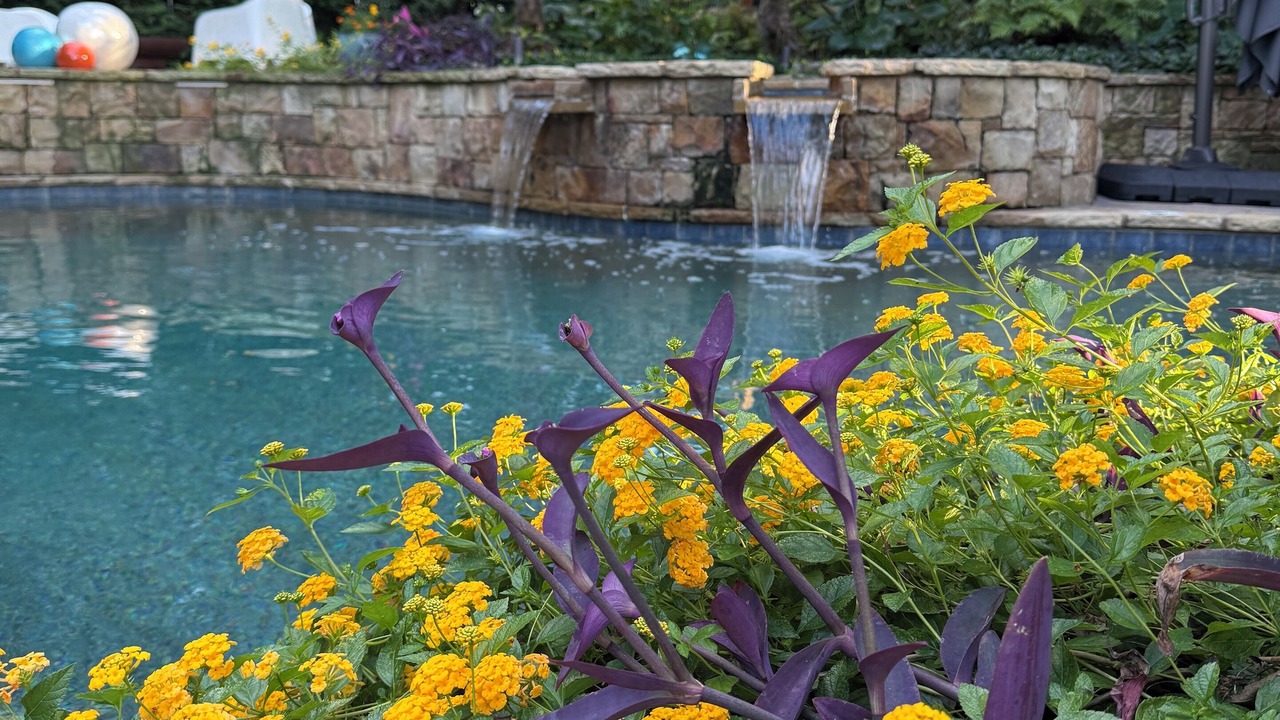 Photo of Outdoor in Morningside-Lenox Park