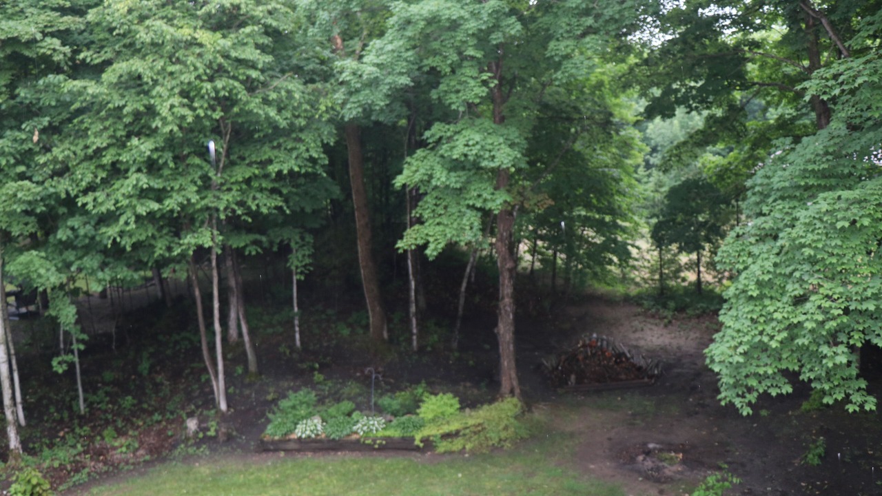 Photo of Outdoor in South Bruce Peninsula