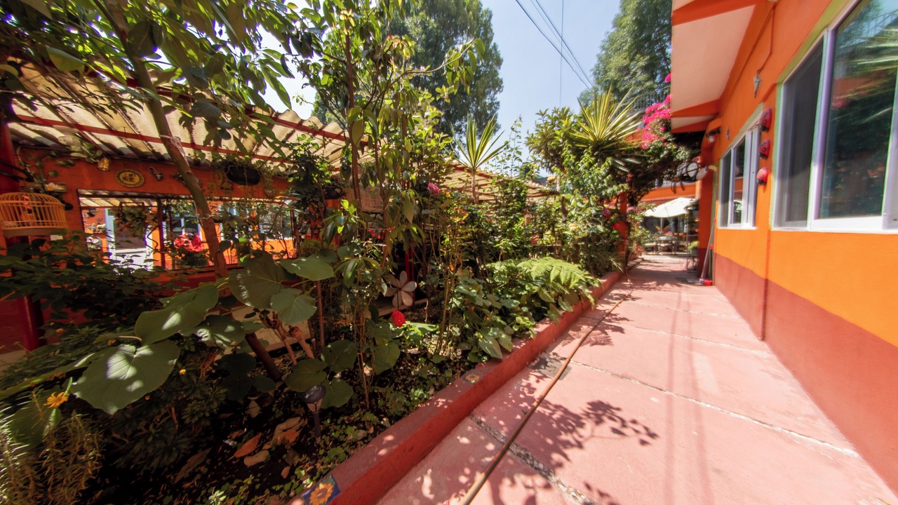 Photo of Outdoor in Santa Catarina