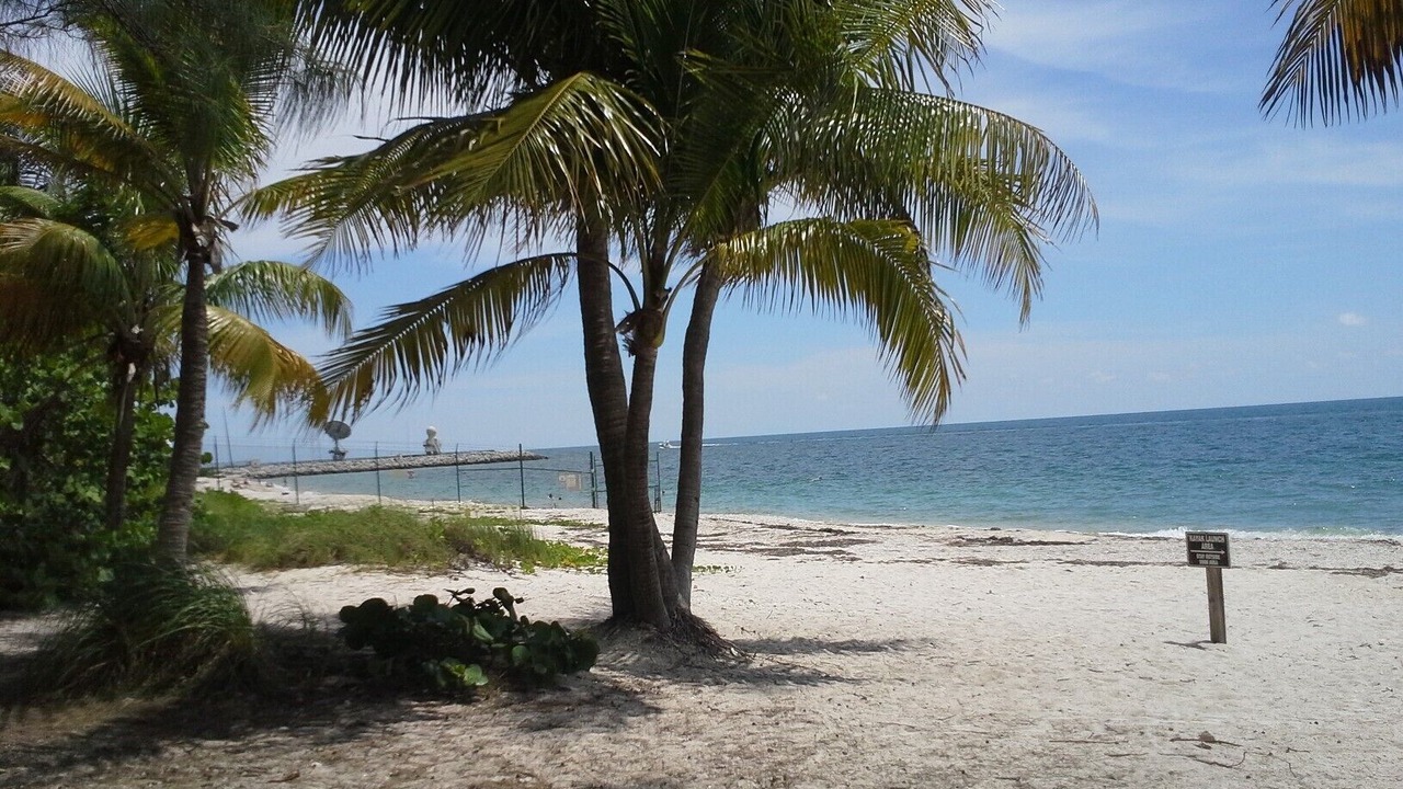 Photo of Others in Bahama Village