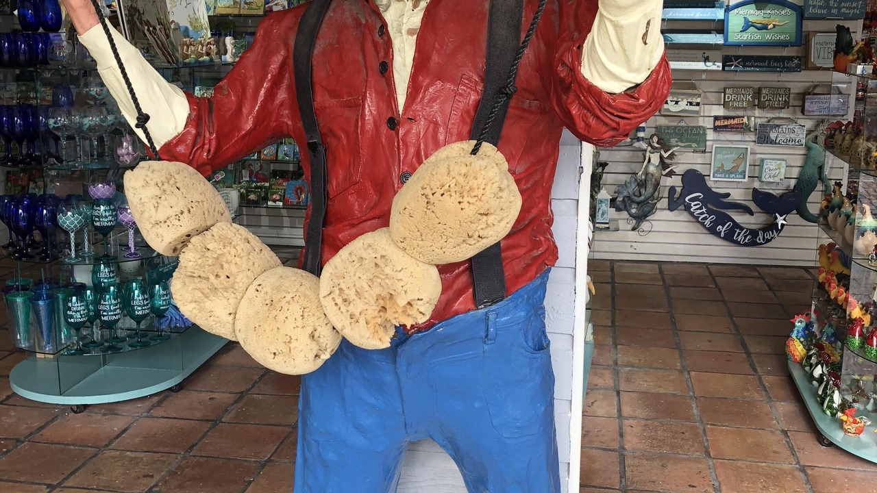 Photo of Others in Bahama Village