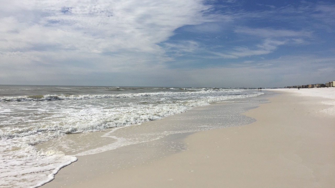 Photo of Others in Fort Walton Beach