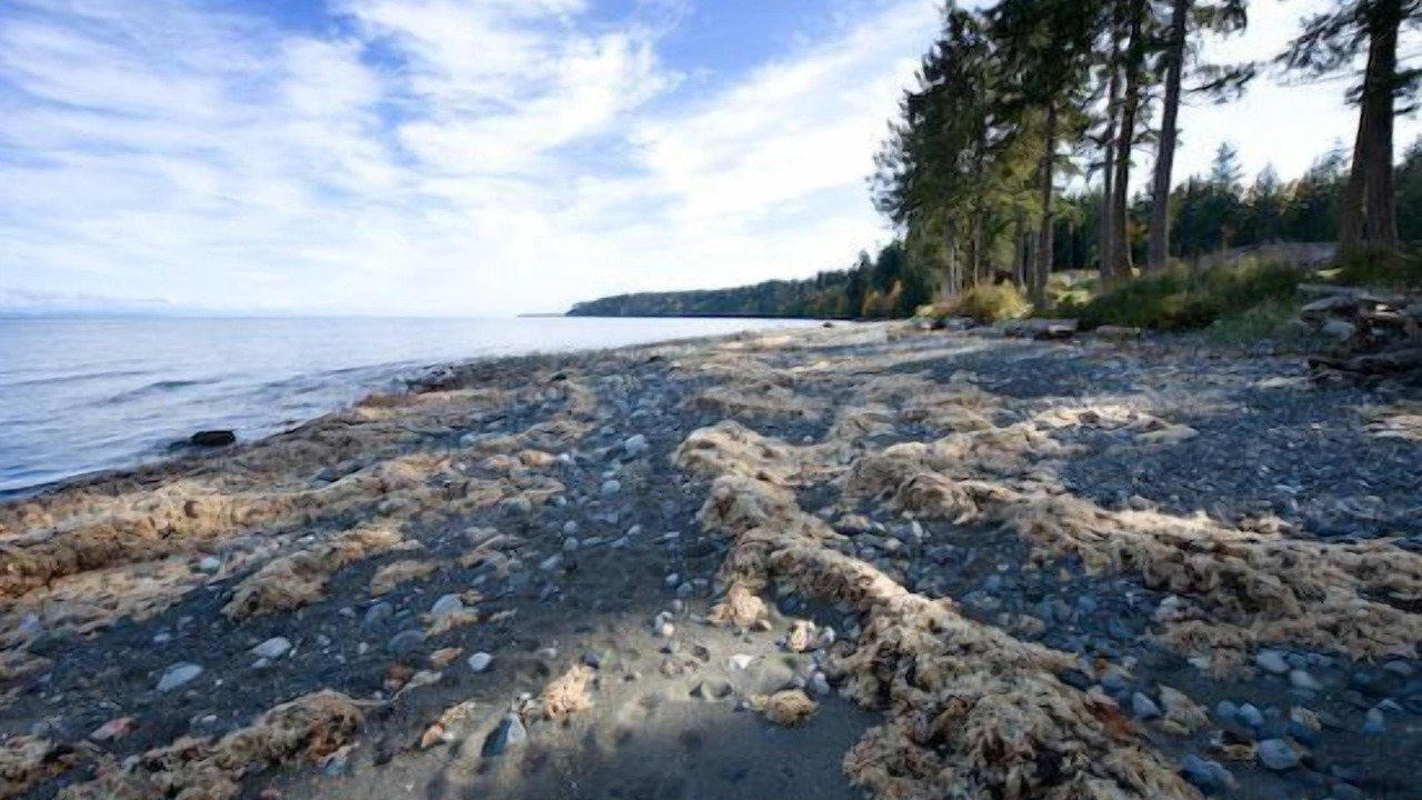 Photo of Others in Regional District of Nanaimo