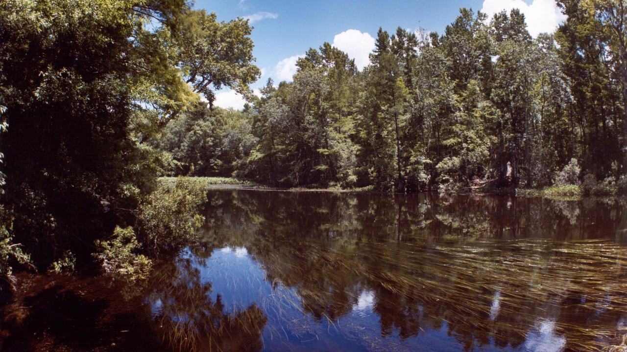Photo of Others in Crawfordville