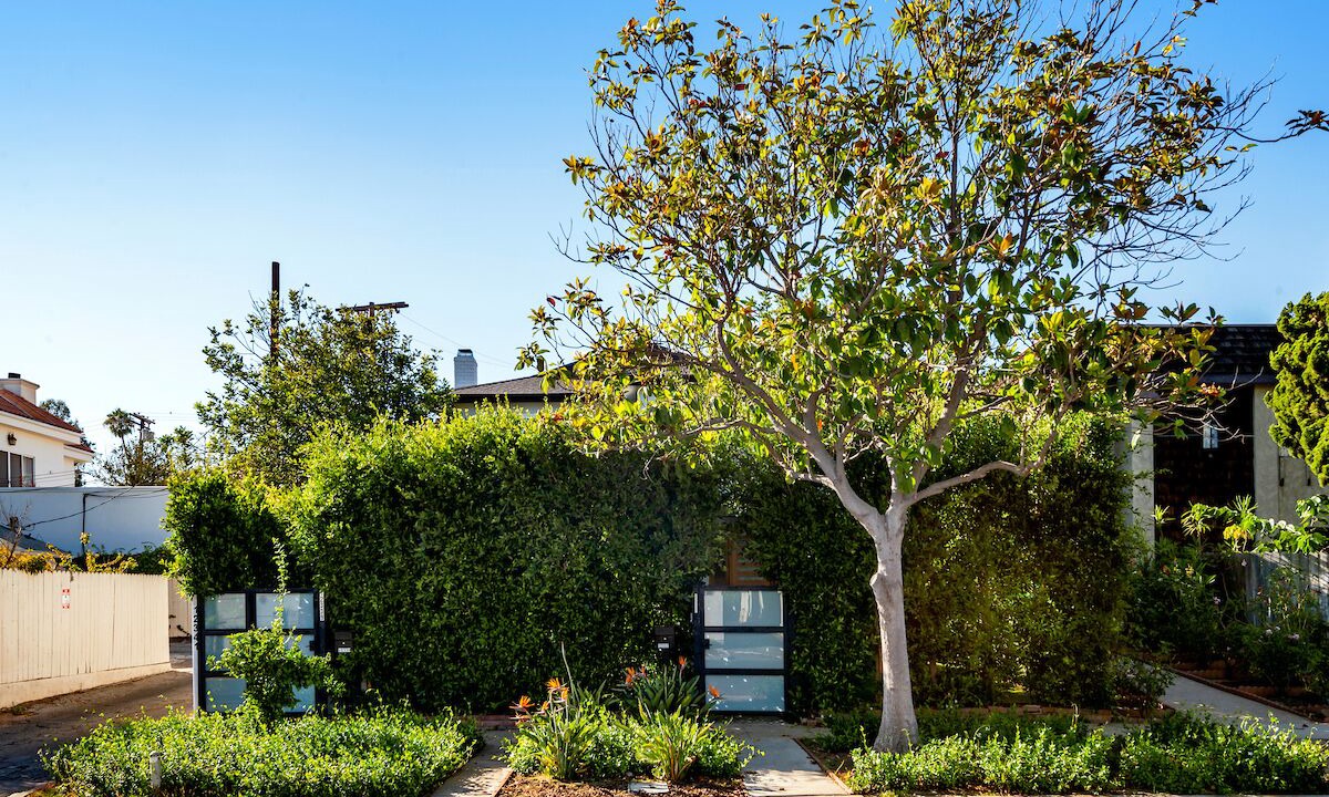 Photo of Outdoor in Sawtelle