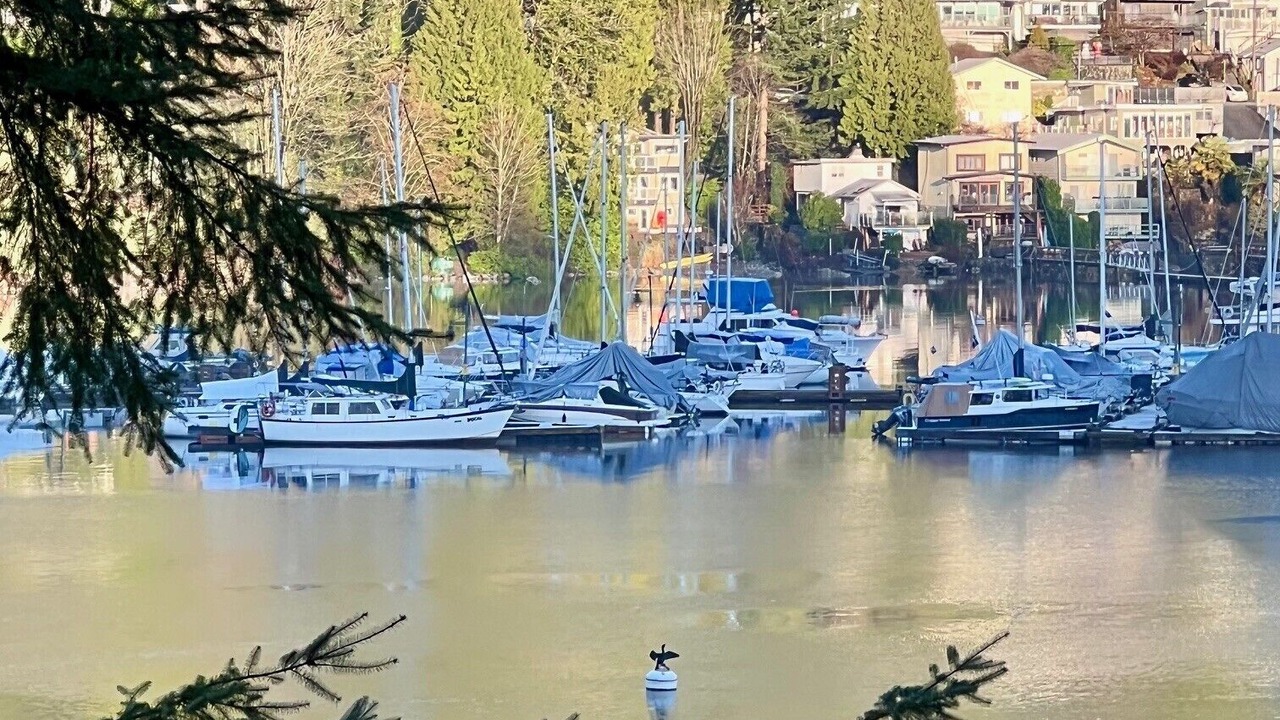 Photo of Others in Deep Cove