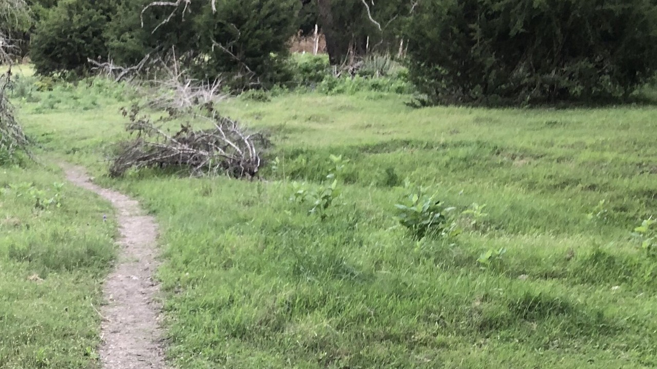 Photo of Others in Boerne