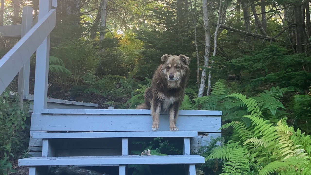 Photo of Outdoor in Prospect Bay