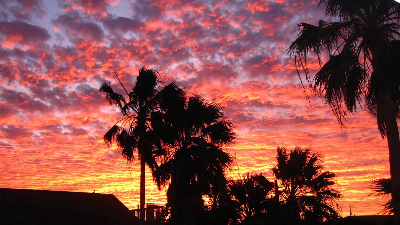 Photo of Outdoor in South Padre Island
