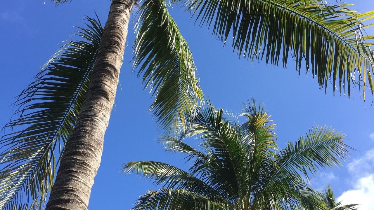 Photo of Outdoor in Key Biscayne
