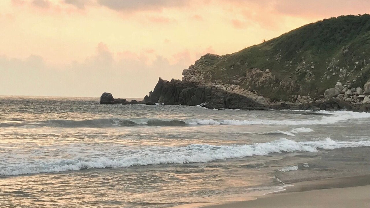 Photo of Others in Puerto Escondido