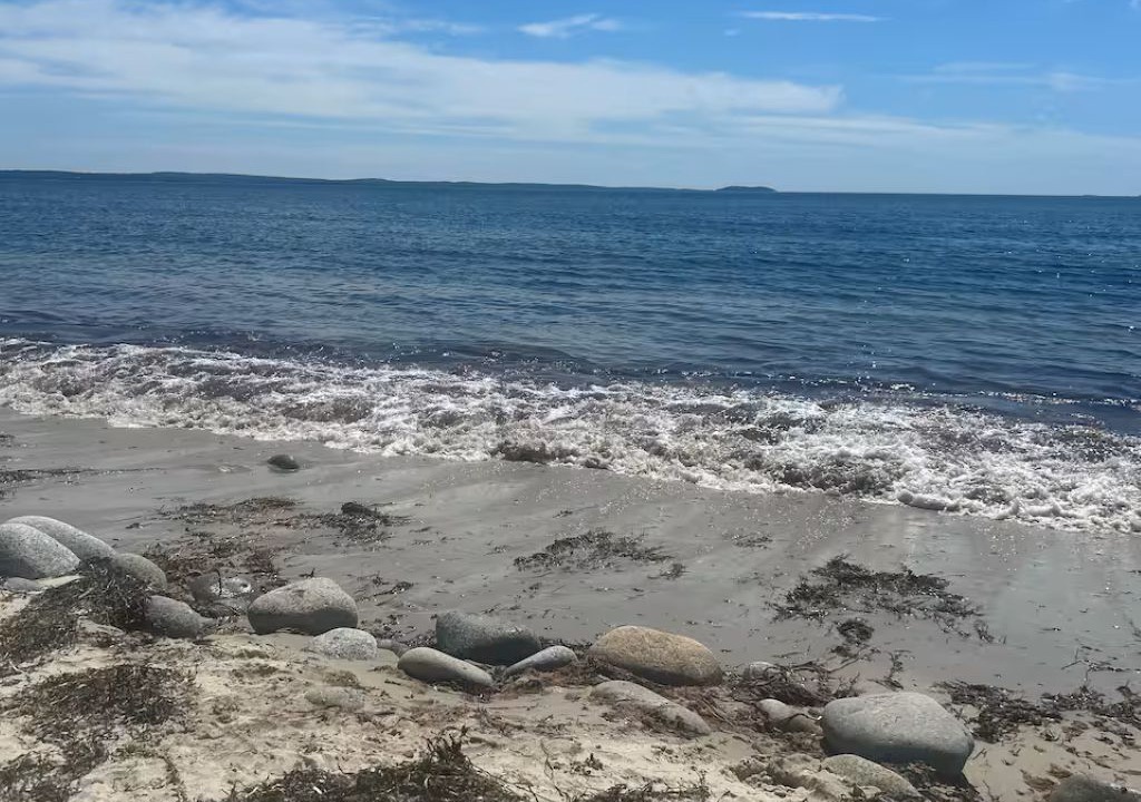 Photo of Others in Masons Point