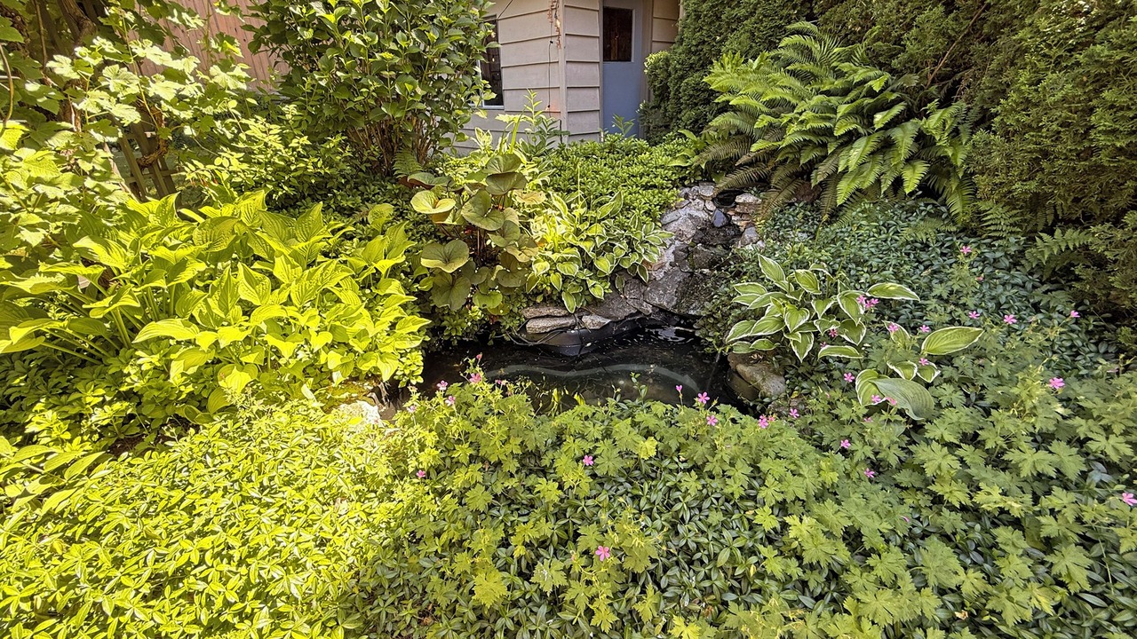Photo of Outdoor in Canyon Heights